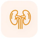 Paciente Renal